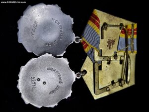 Орден Трудовой славы 2(#37971) и 3(#471931) степени