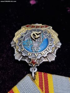 Орден Трудовой славы 2 (#19006) и 3(#352815) степени