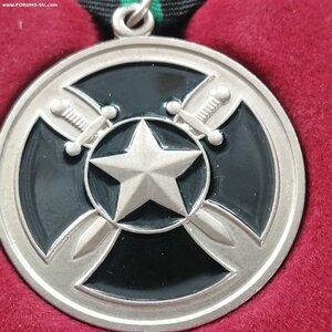 Медаль ЧВК Вагнер W проект 42174