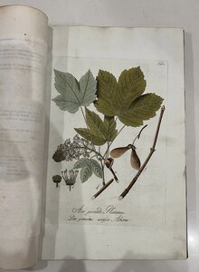 Книга SCHMIDT, ÖSTERREICHS ALLGEMEINE BAUMZUCHT, 1792 год
