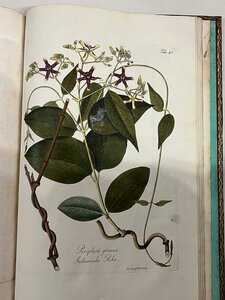 Книга SCHMIDT, ÖSTERREICHS ALLGEMEINE BAUMZUCHT, 1792 год