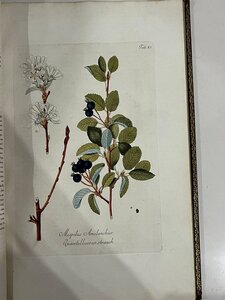 Книга SCHMIDT, ÖSTERREICHS ALLGEMEINE BAUMZUCHT, 1792 год