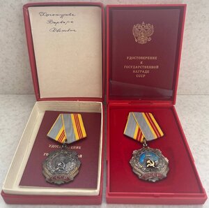 Трудовая слава 2 и 3 ст. На доках РФ Медведев на одного