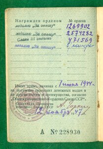 Миникомплект на геройского пехотинца: Слава 3 и За Отвагу