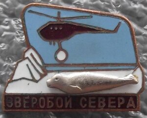 Зверобой севера