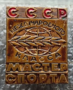 Мастер Спорта СССР Международного Класса