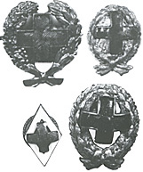 знак медика РОКК РИА