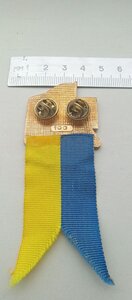 ЗНАК З ЛЕНТОЮ номерний номер 100  ; ЗБІРНА КОМАНДА УКРАЇНИ