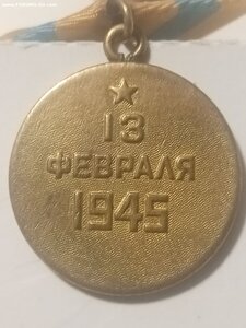 Будапешт (паяное ухо)