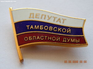 Депутат Тамбовской областной Думы. - 2 знака(винт +заколка )