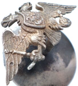 Орел, вероятно от офицерского знака 121 Пензенского полка.