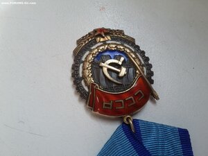 ТКЗ средний овал 145186