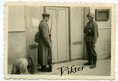 Передел Польши ( Польский поход РККА), допрос партизан и др