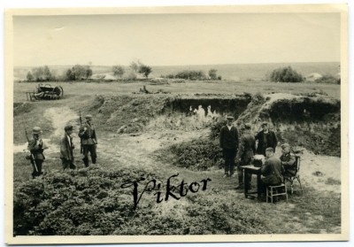Передел Польши ( Польский поход РККА), допрос партизан и др