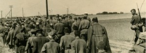 Передел Польши ( Польский поход РККА), допрос партизан и др