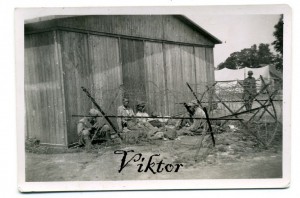 Передел Польши ( Польский поход РККА), допрос партизан и др