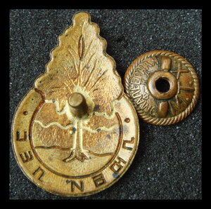 Знак общества "Люби лес"