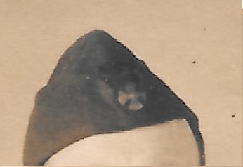 Скауты в эмиграции.