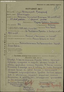 БКЗ №22 тыс. "Плечики"