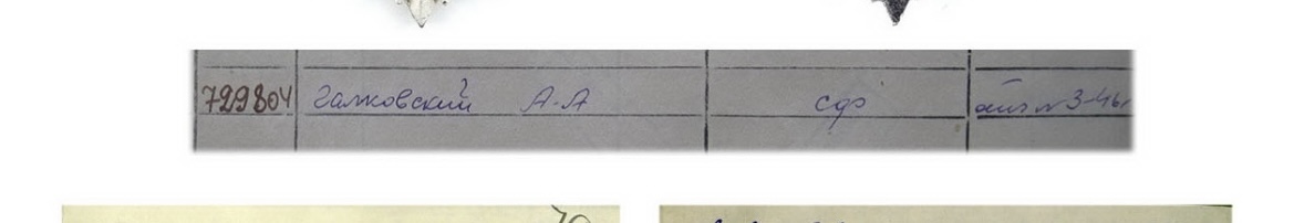 ОВ-2 ЭМ Дерзкий СФ