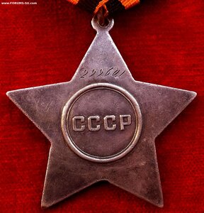 Слава 3 ст № 299.601 ШТУРМ ЛАБИАУ