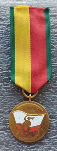 Медаль За заслуги перед Варшавской организацией ЗСМП Польша