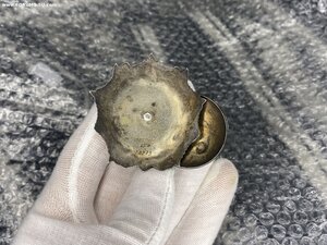 Невский 2О273, лётчик, сбитый ФВ