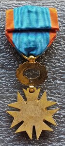 Орден гражданского воспитания офицер Франция