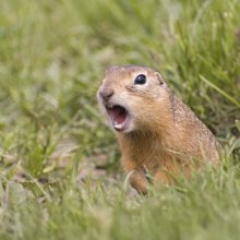 Герою труда Союза Нарсвязи П.Т.Г. 1917-1922 г., серебро