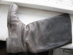 Сапоги. Подскажите.