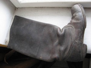 Сапоги. Подскажите.