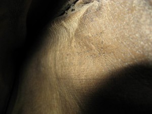 Сапоги. Подскажите.