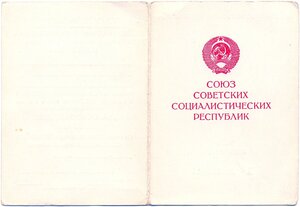 Дубликатный Дунайский бант на женщину