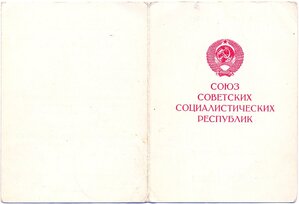 Дубликатный Дунайский бант на женщину