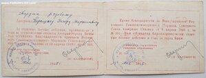 Дунайский бант + Япония + ЗПГ + пять благодарностей