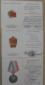 Трудовая Слава 3ст. № 501177 с док