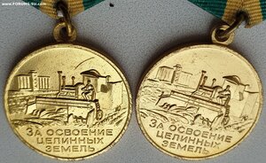 Две шикарные Целины на супругов. Номера доков - подряд.