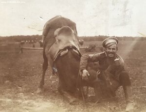 Лист фотоальбома с 8 фото разведчиков первого дивизиона 1908