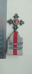 СТАЛЕВИЙ ХРЕСТ ТРЕТЕ НАГОРОДЖЕННЯ З ДВОМА ГІЛОЧКАМИ