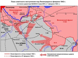 Квадро Отвага I9I.ЧЗI ЛенФронт, Красноборская операция