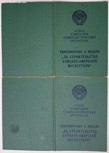 Два БАМа на супругов в один день