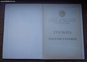 МАТЬ-ГЕРОИНЯ Карамат.