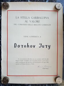 Италия Звезда Гарибальди на Русского партизана Дорохова Ю.В.