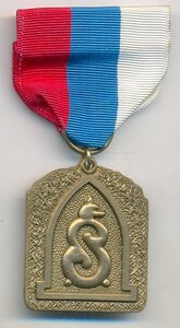 медаль участникам Сибирской экспедиции (интервенция)