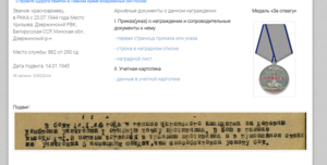 Комплект ПАРТИЗАНа ___разведчика 2Бел.Фр__ОТВАГА за 5фрицев!