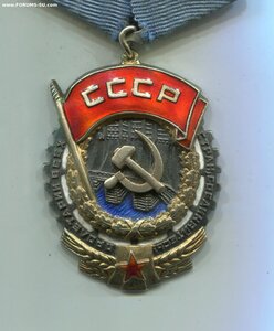 ТРУДОВИК 22 872