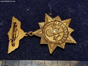 Знак Ветеран ВДВ . Тяжёлый металл