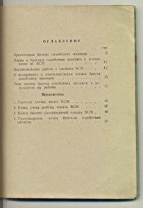 Инструкция  по организации и работе бригад содействия милици