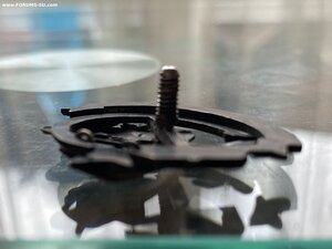 Общество друзей Воздушного флота СевероЗападной области