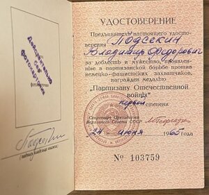 Командир спецгруппы, партизан.